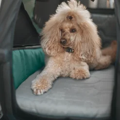 Thule Bexey dog bed M