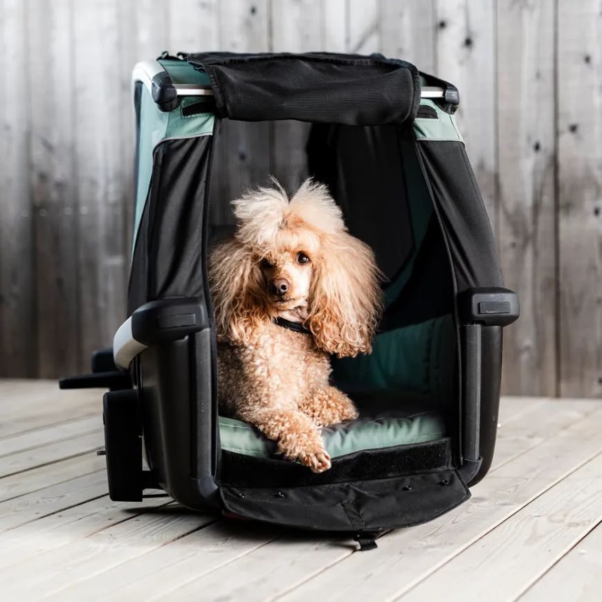 Thule Bexey M