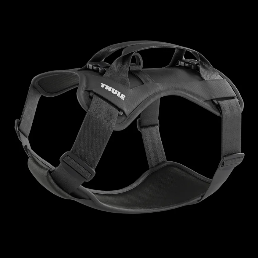 Thule Cappy