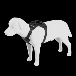 Thule Cappy