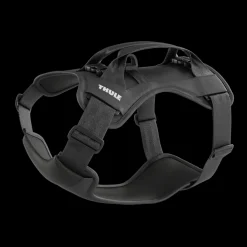 Thule Cappy