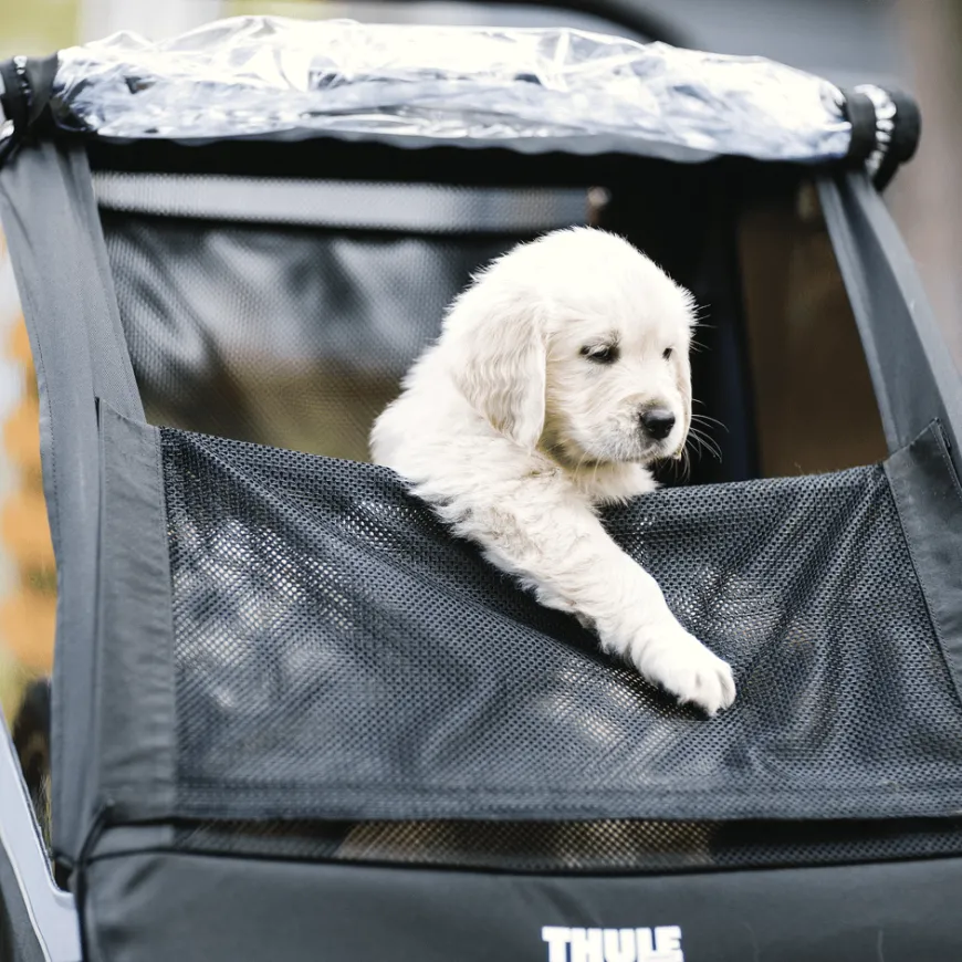 Thule Courier dog trailer bundle