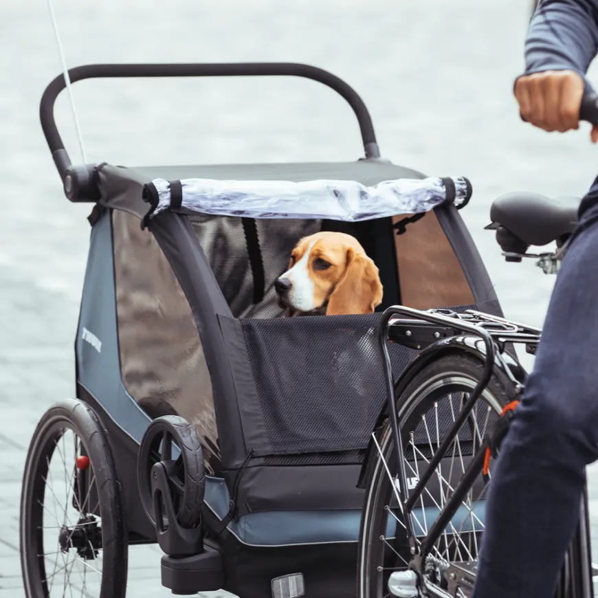 Thule Courier dog trailer bundle