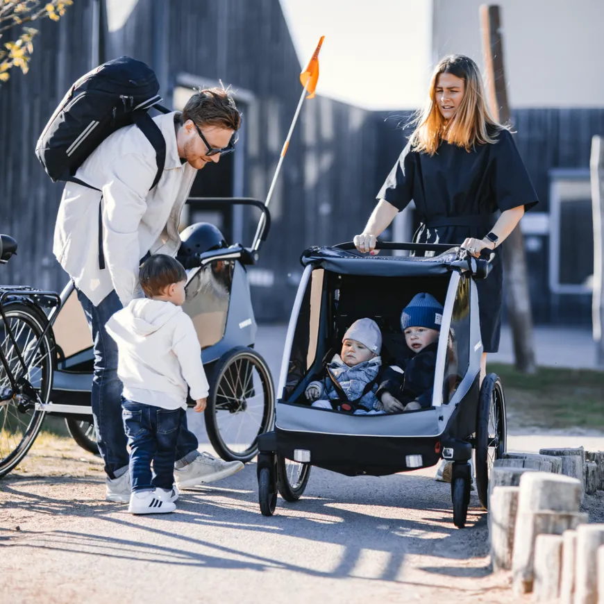 Thule Courier dog trailer bundle