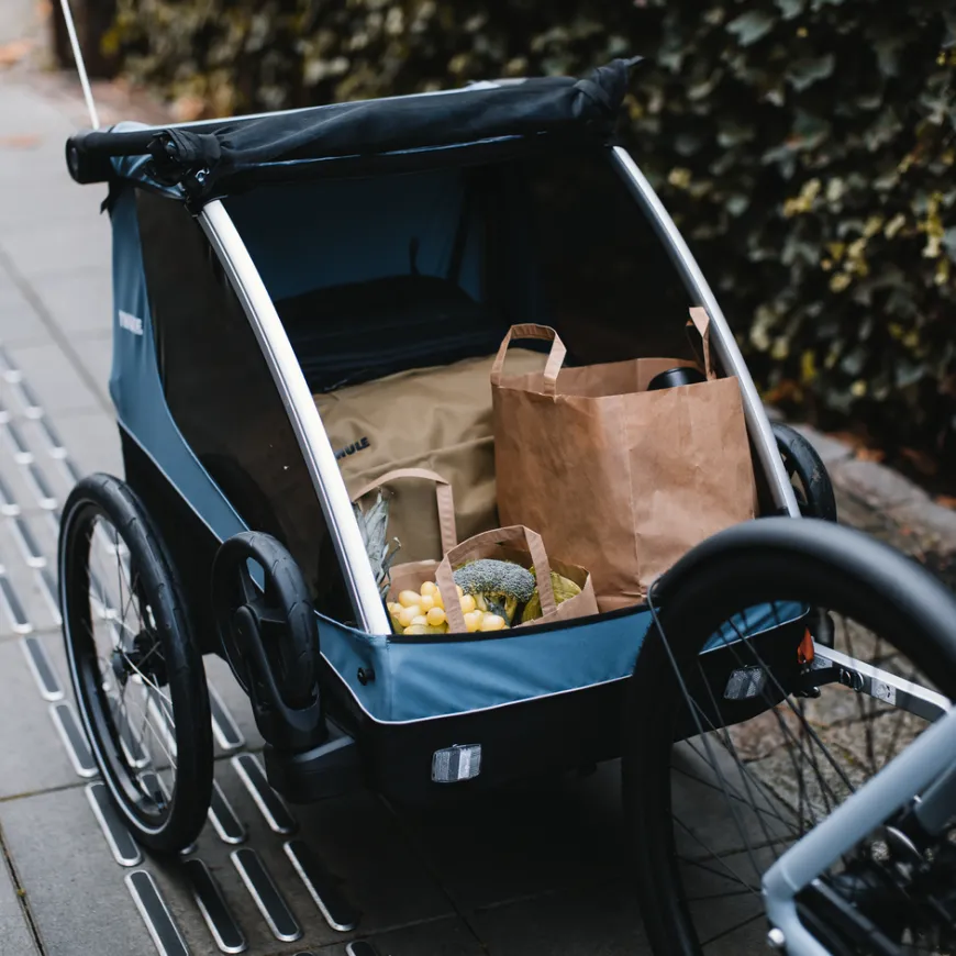 Thule Courier dog trailer bundle
