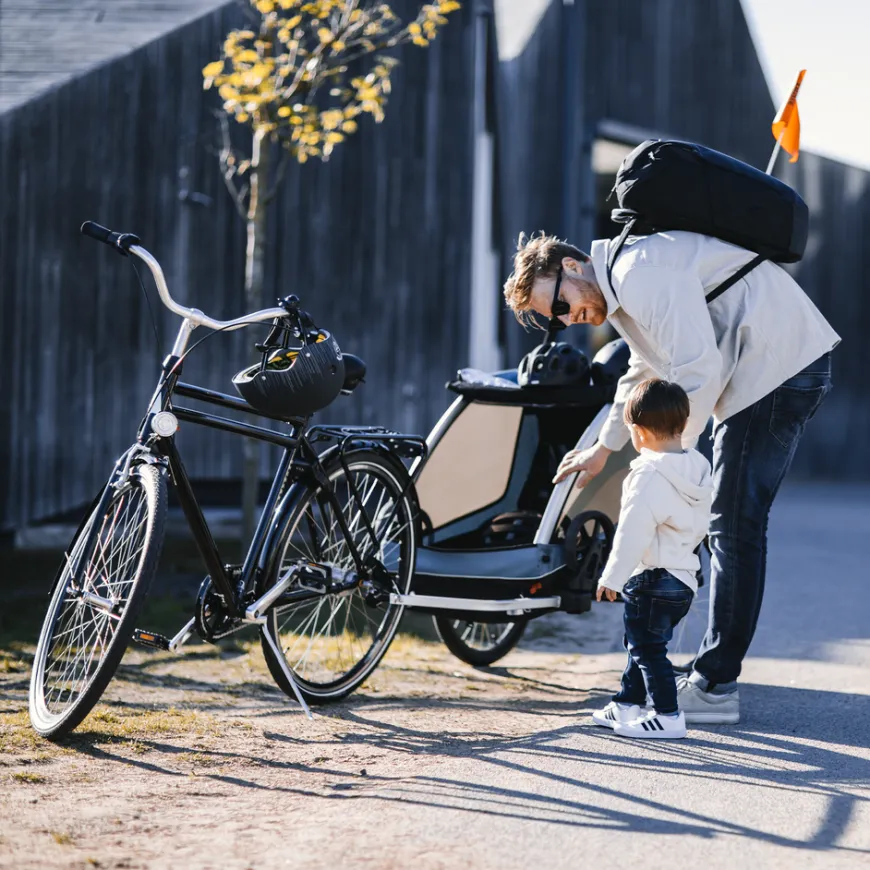 Thule Courier dog trailer bundle