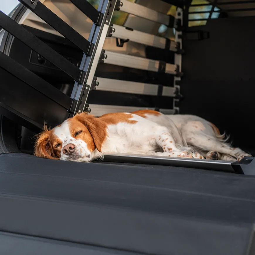 Thule dog mat standard