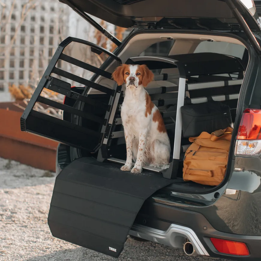 Thule dog mat standard