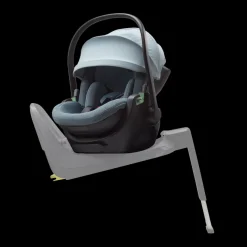Thule Maple