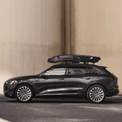 Thule Vector L